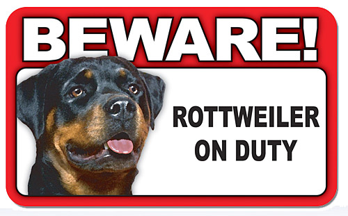 Σκύλος ή συναγερμός? Σκύλος ή συναγερμός?